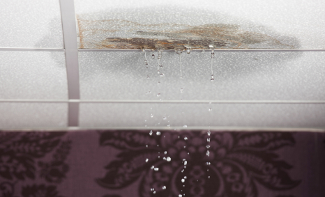 Plumber Picnic Point